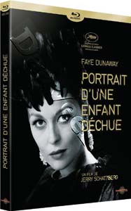 Puzzle of a Downfall Child (1970) (Blu-Ray)